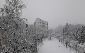 Avino Apart - Hostel